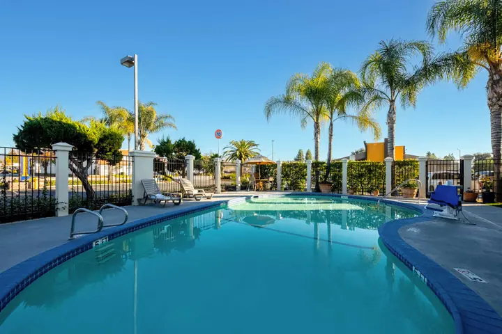 Outdoor pool with a pool lift and lounge chairs, inside a white fence lined with palm trees